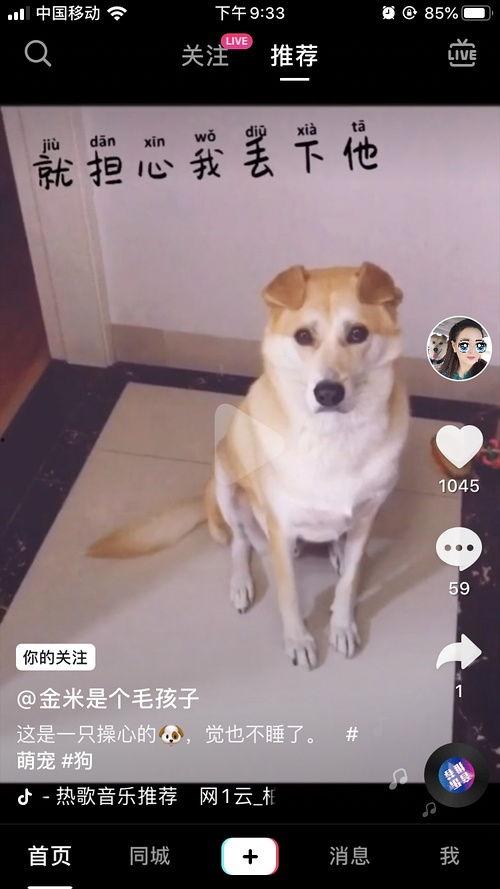 抖音网红狗子与我吃瓜 第3张 抖音网红狗子与我吃瓜 第3张